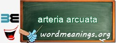 WordMeaning blackboard for arteria arcuata